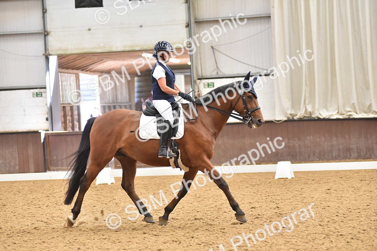 SBM_011308 - Class 5 - Prelim 5