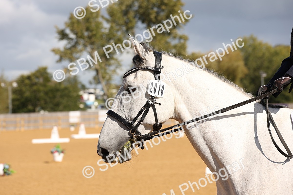 SBM_02222 - D10 - Small Tour Championship Prelim 2