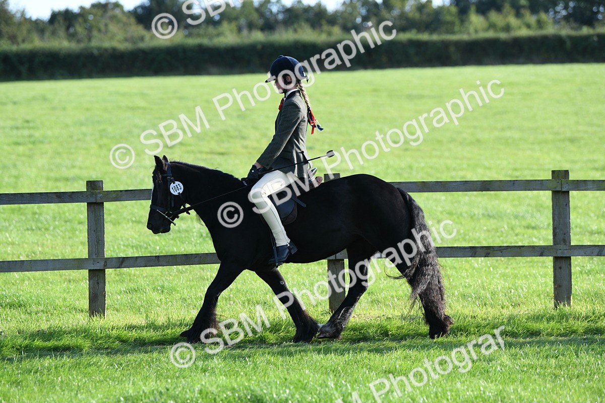 SBM_54032 - S23 - 1st Ridden Mountain & Moorland Pony