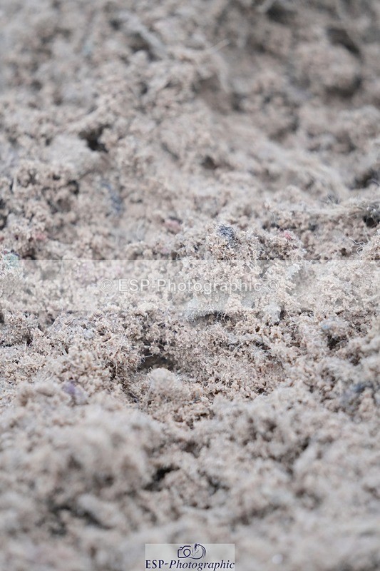 251109-135927-04403 - Cls 22 Snr 1.30m and 1.40m