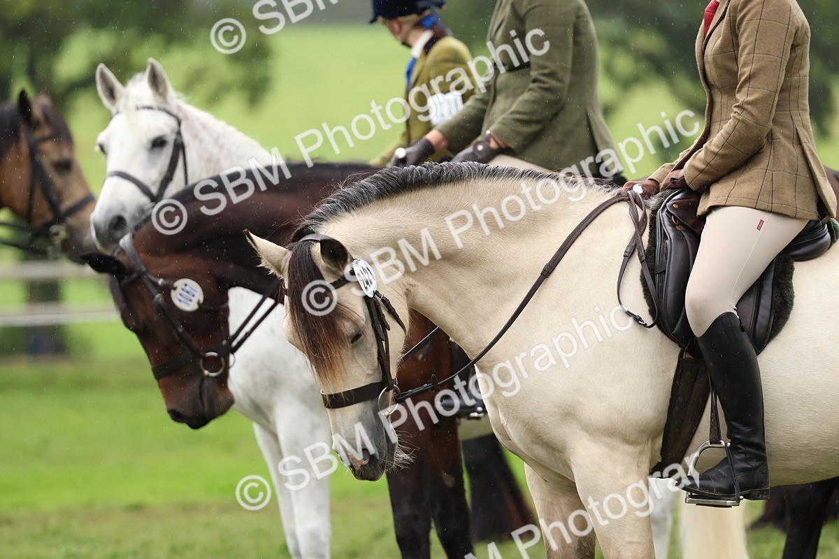 SBM_69667 - S62 - Mountain & Moorland Ridden Large Breeds