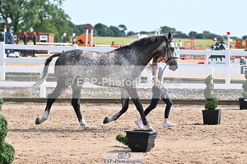 240717A-160846-03324 - Trot Up 4pm to 5pm