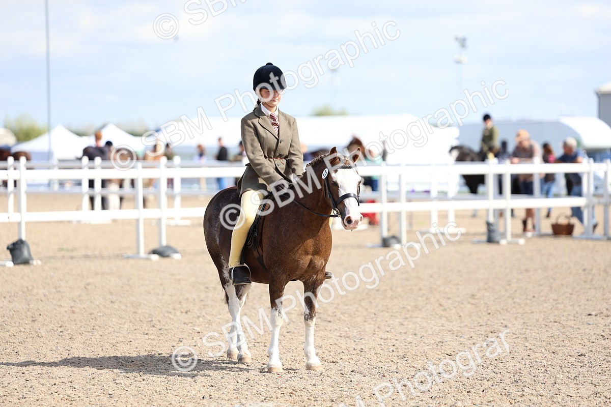 SBM_13340 - Class 311 - Ridden Show Pony Show Hunter Pony