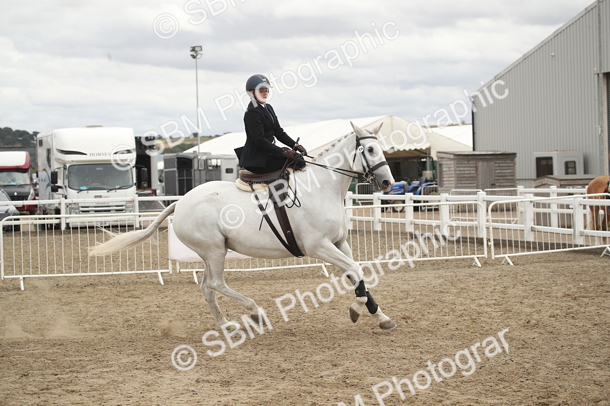 SBM_17712 - Class 508a - Working Veteran 70cm (15-19)