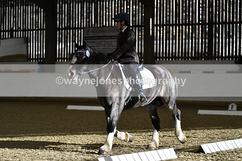 WJ5_6963 - Class 2 Intro Test 2