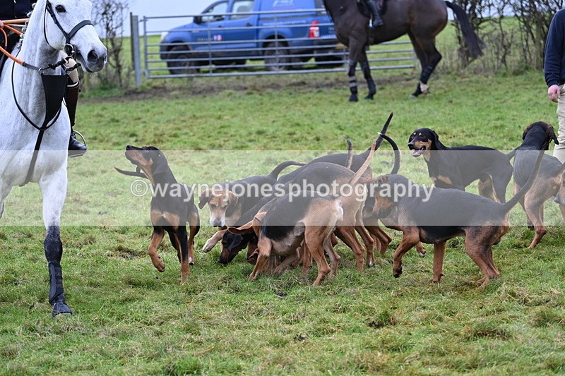 WJ7_6461 - Meet 12.30