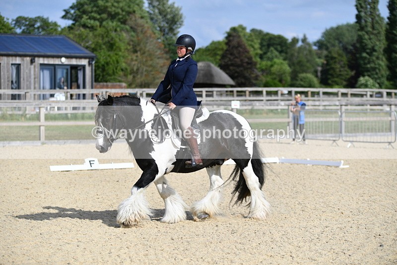 WJ5_7706 - Time 16:40 to 16:55