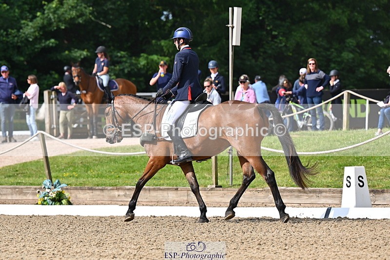 250523A-094030-05300 - C-258-Bill.Levett-ITALIAN.HARLEQUIN.NJ