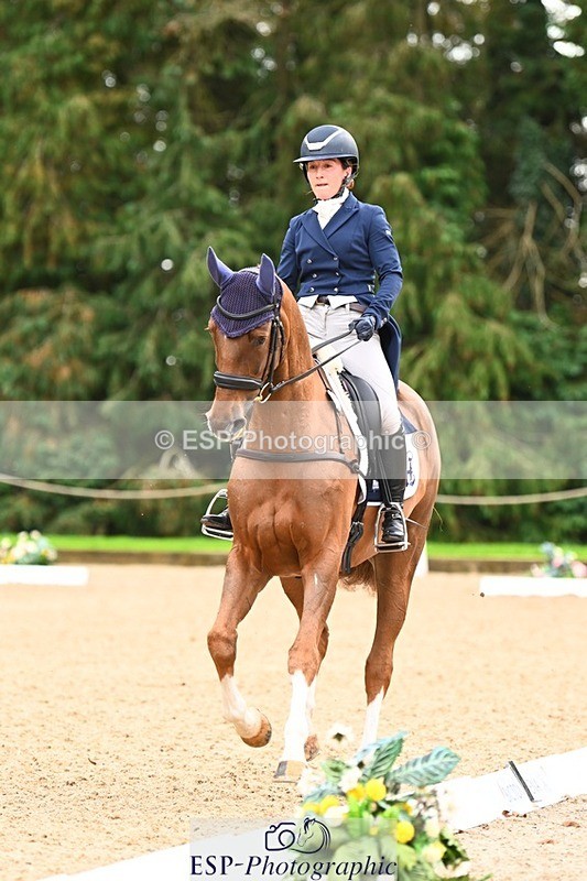 231020-153145-11853 - 213-MGH.HILDARE.HARLEQUIN-Danielle.Mccormack-DR