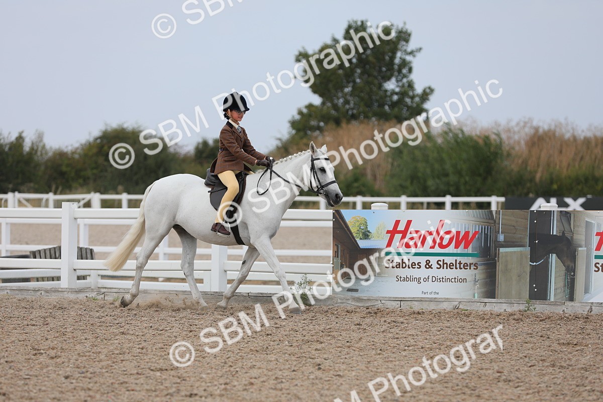 SBM_16861 - Class 314 Family Horse/Pony