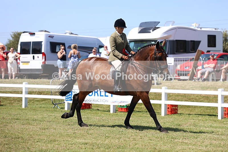 3E7A7504 - Rising Star Ridden Championship