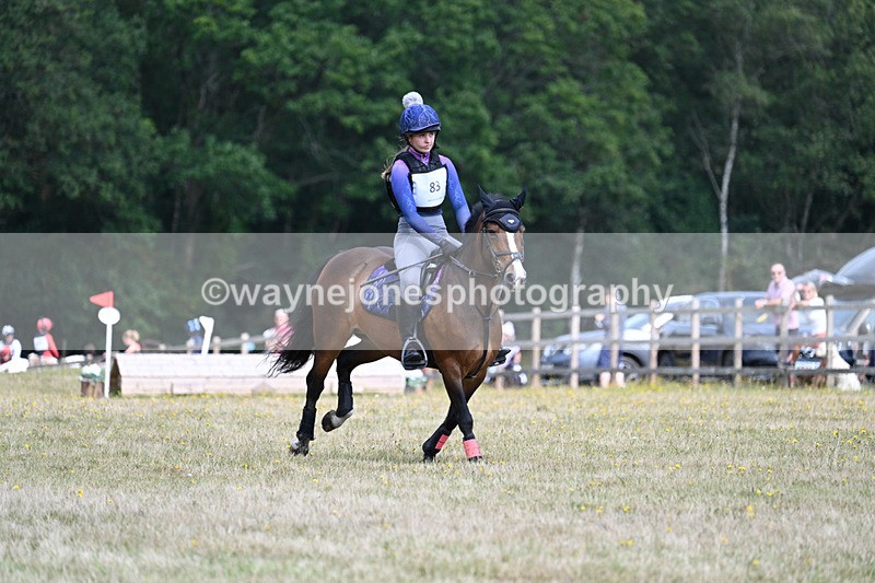 WJ7_1911 - 60cm Time 12:48 to 13:02