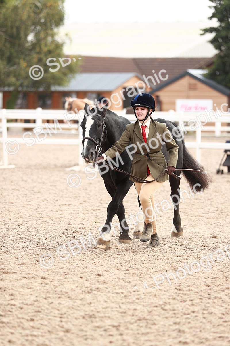 SBM_11891 - Class 206 IH Non Show Type Pony