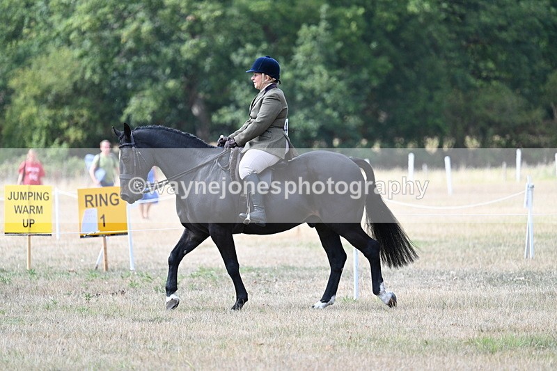 WJ7_5774 - Class 13 Ridden Veterans