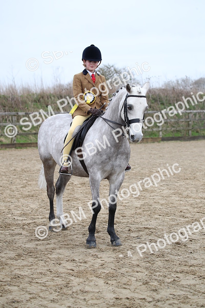 SBM_004688 - Class 5-9 - NPS In Hand-Show Hunter-Intermediate Ridden Inc Ridden Championship