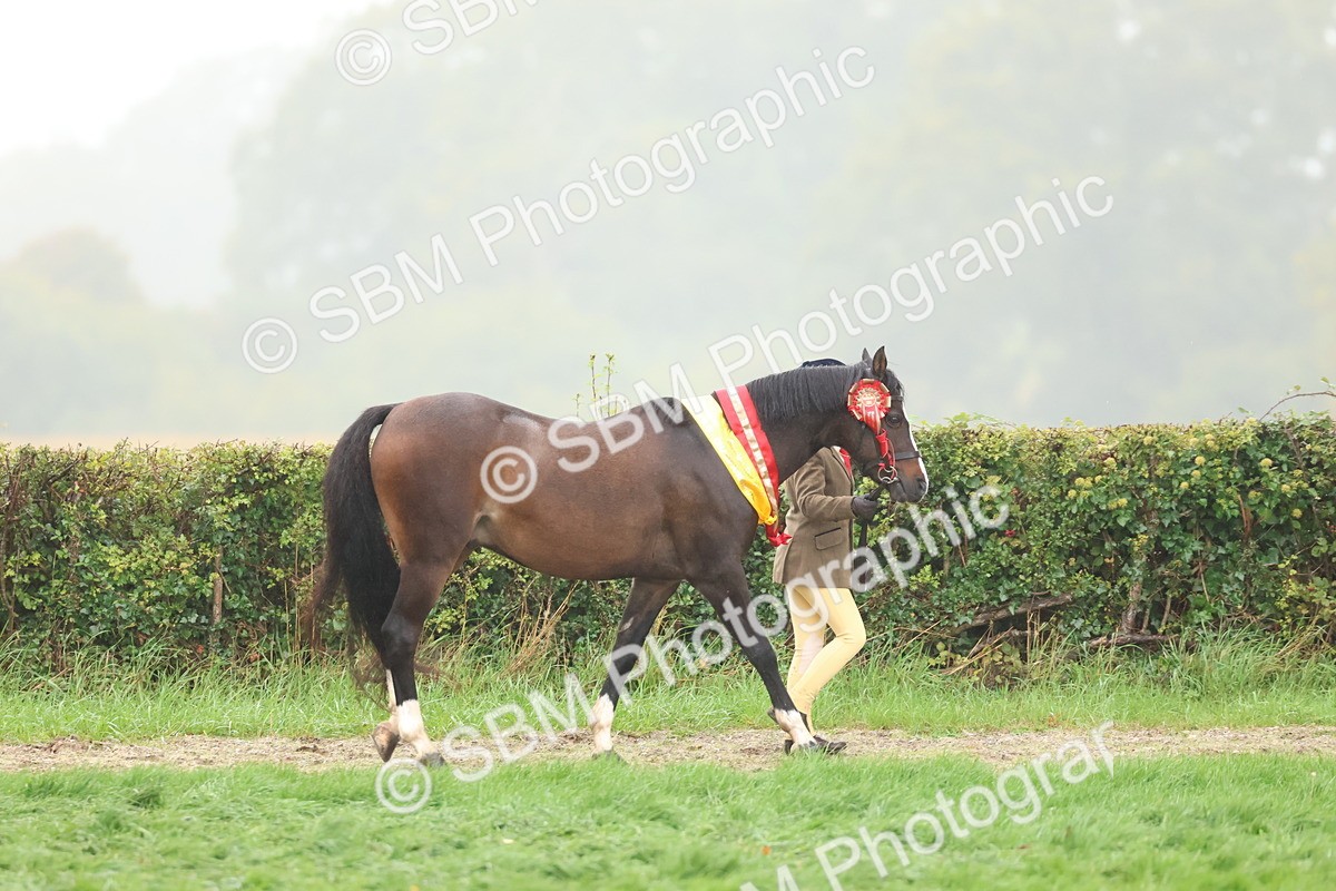 SBM_73178 - Super Supreme Championship(Sun)