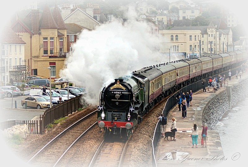 DW17 - The Steam train Tornado and The Cornishman at Dawlish - Greetings Cards - Trains