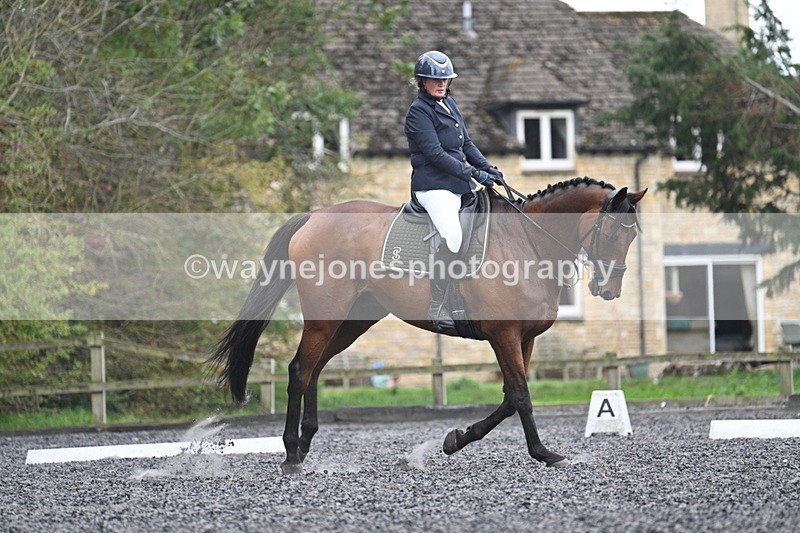 WJ7_6135 - Time 14:10 to 14:45