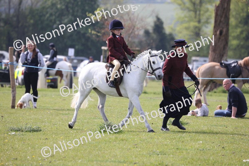 20260426-2558 - Class 31 - Leading Rein