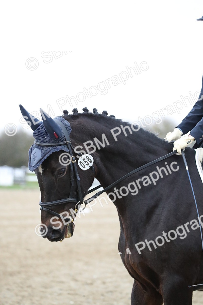 SBM_004891 - Novice 3