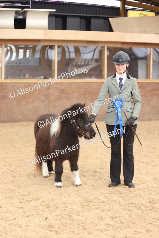 20251109-0417 - Class 15 - Coloureds