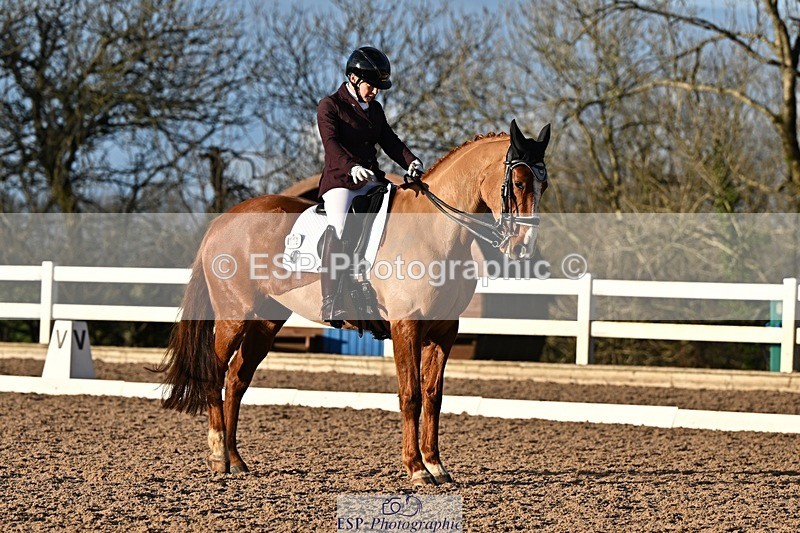 241214-142128-02807 - 112-kelly.jewell-Avalon