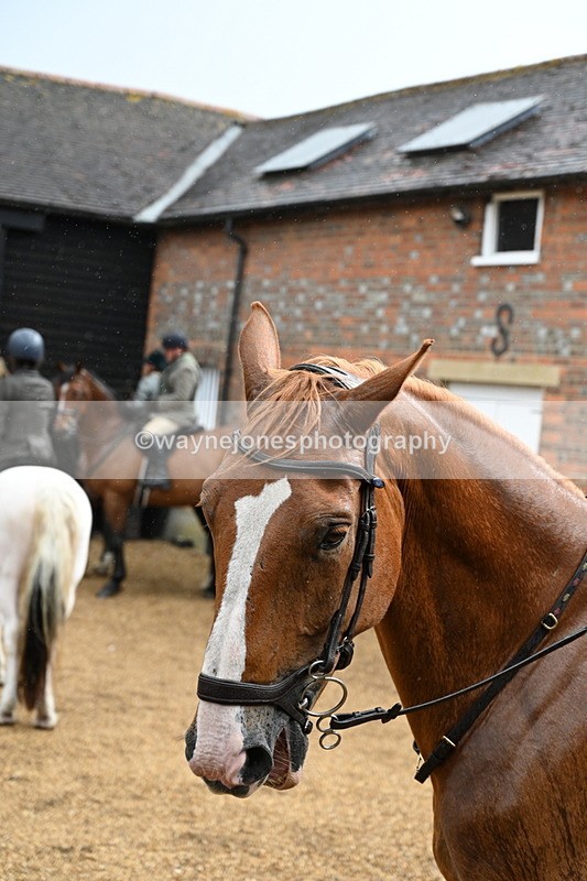 WJ7_6957 - Berks & Bucks at Blandy’s Farm 31-08-25