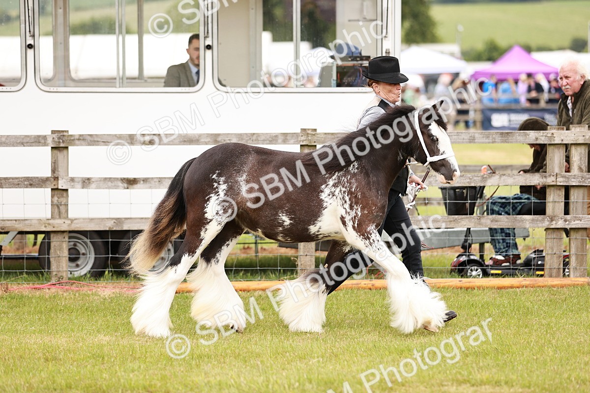 SBM_05954 - Class 39-41 TGCA In Hand and Ridden