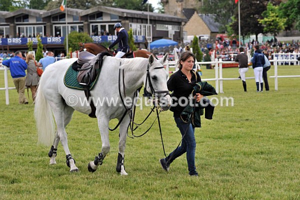 EQUISCOT 9379 - A WEE PEEK AT RHS 2013