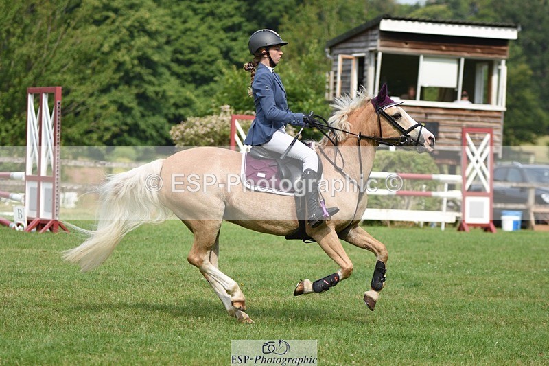 230617-095152-01694 - Cls 15 British Novice & 80cm Open