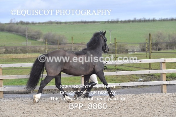 BPP_8880 - RING 2 - M&M