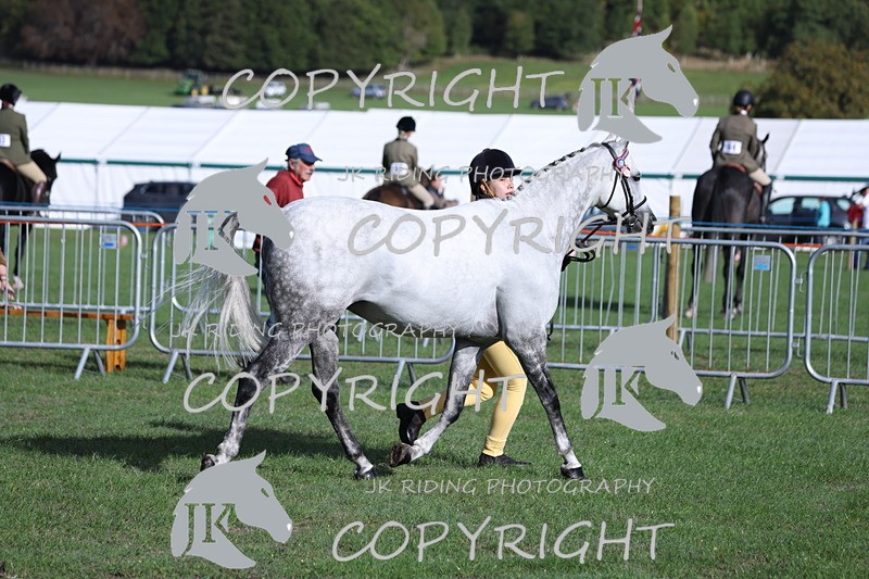 APP_2551 - Class 18 Young Handler