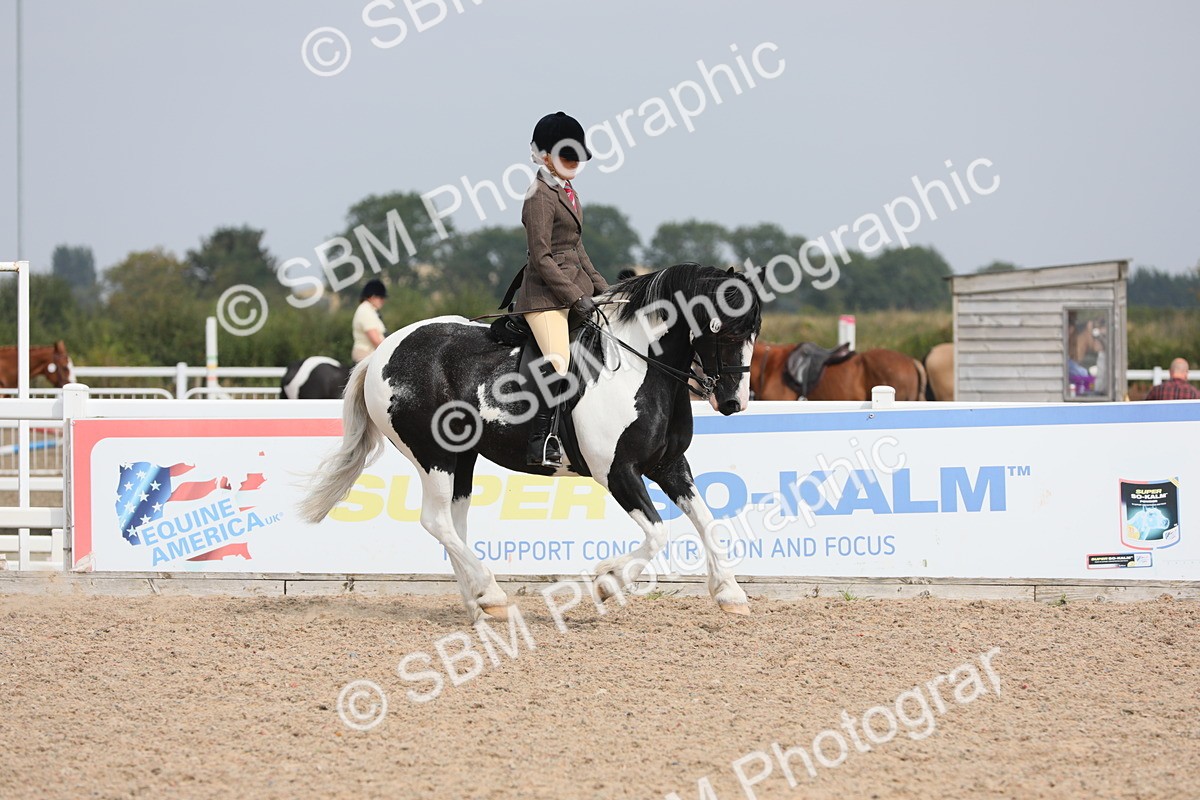 SBM_12790 - Class 307 Ridden Coloured Pony