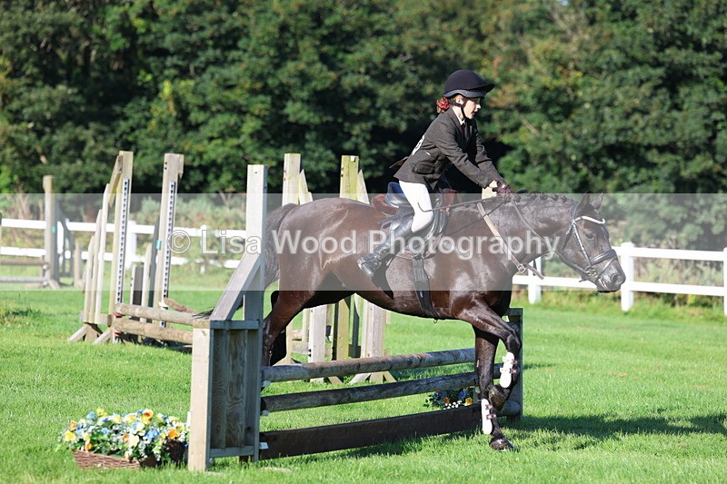 3E7A7487 - Class 1: Novice Working Hunter Pony