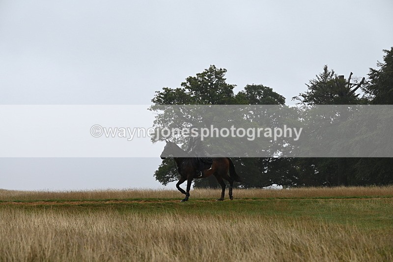 DSC_0931 - Time at Statue 10:58 to 11:53