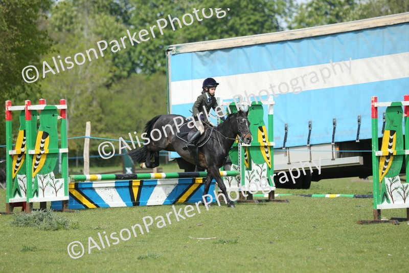 20260426-1758 - Class 14 - Novice 60cm