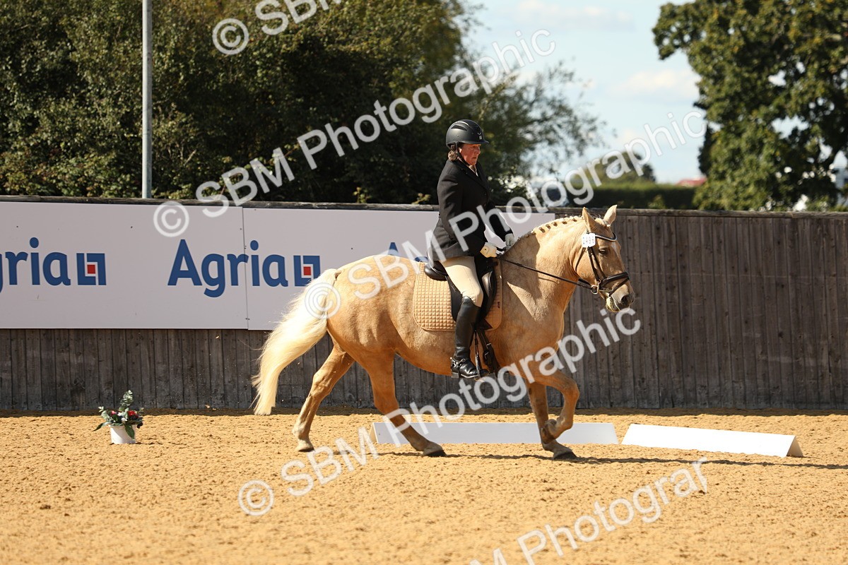 SBM_24561 - D17 - Grand Tour Championship - Novice 27