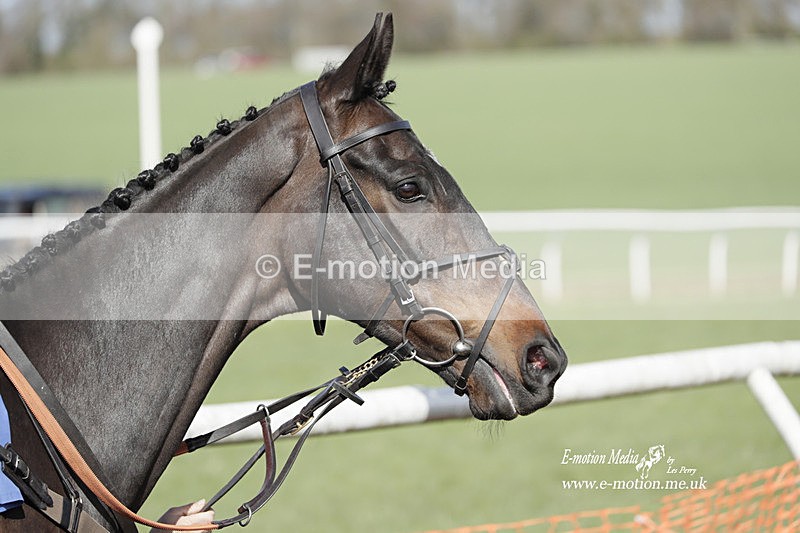 PtP 100423 816 - Old Berkshire Point-to-Point Lockinge 10/04/23