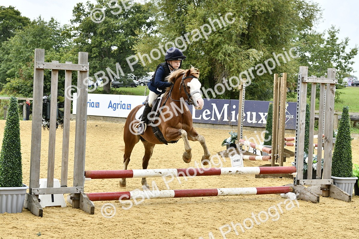 SBM_60476 - J61 - Mini Clear Round 30cm & 40cm