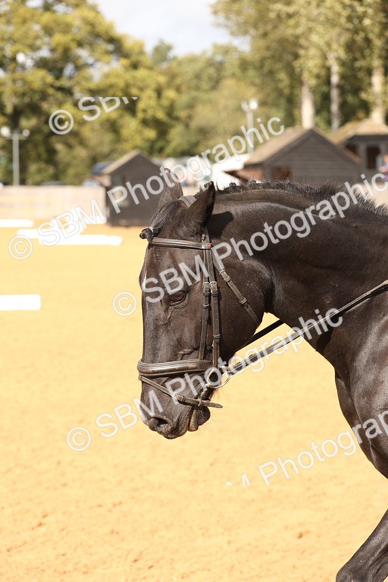 SBM_47566 - D12 - Small Tour Championship prelim 2