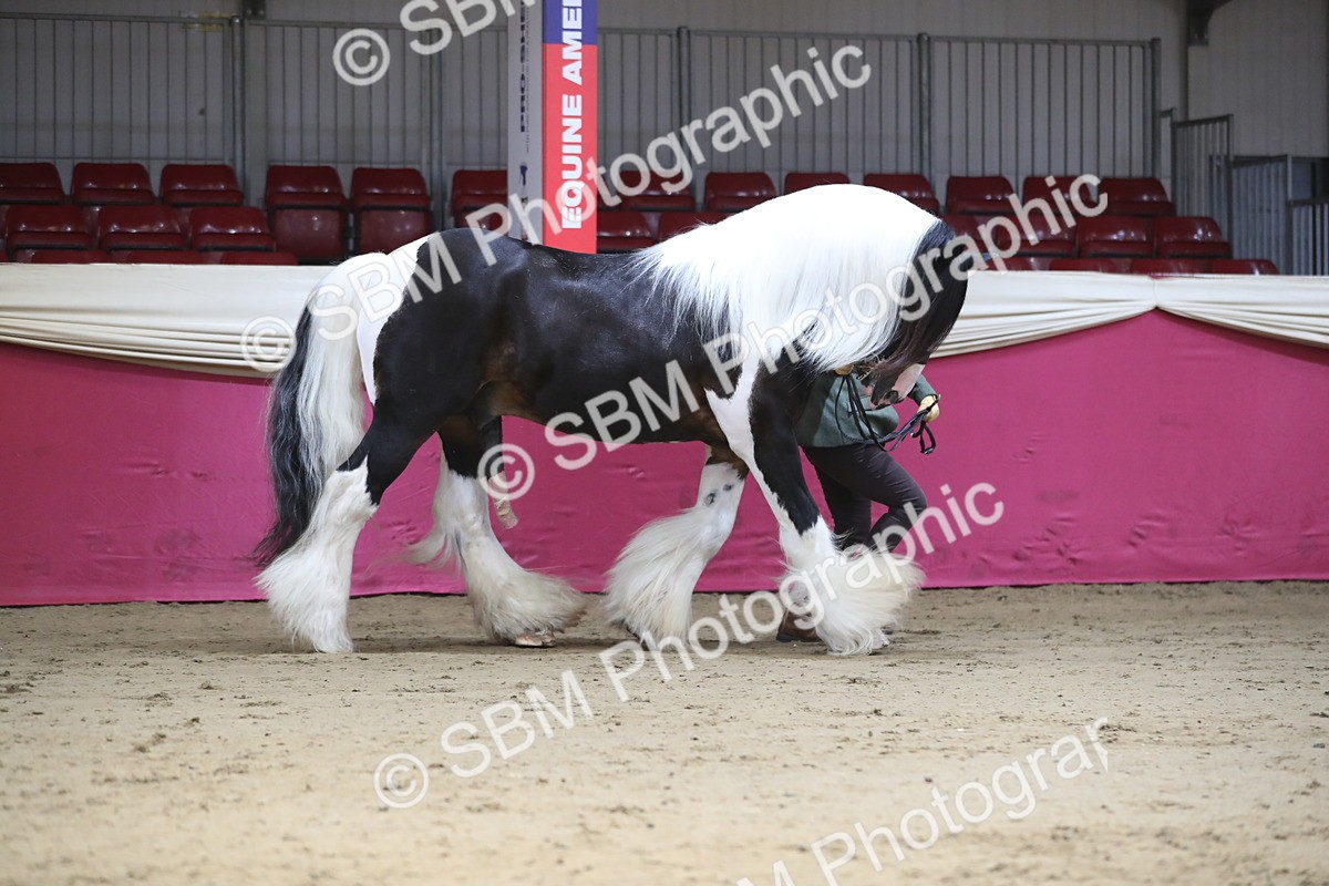 SBM_01325 - Class 3a Area IH Pre Vet