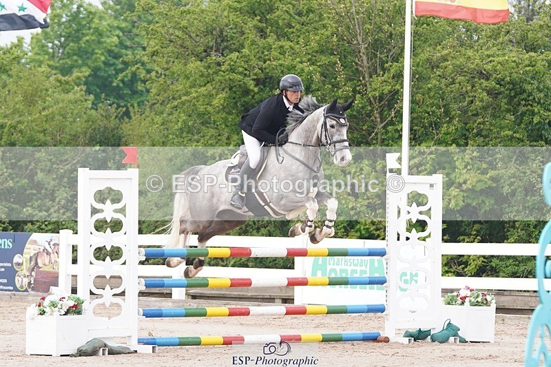 250425-090404-08294 - Cls 26 Young Horse 5yr old