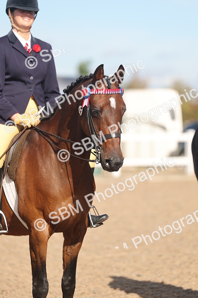SBM_12370 - Class 304 - Ridden part Bred Horse Pony