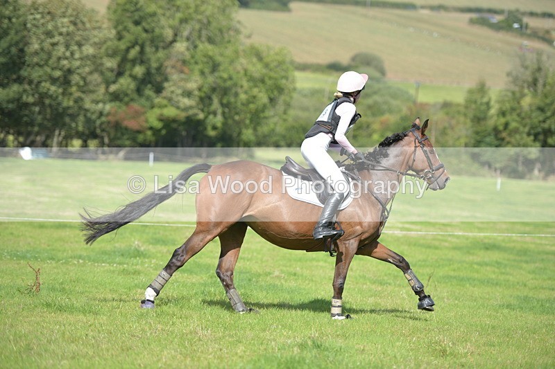 RAY_8911 - Class 2: Trekenning Open: Wall