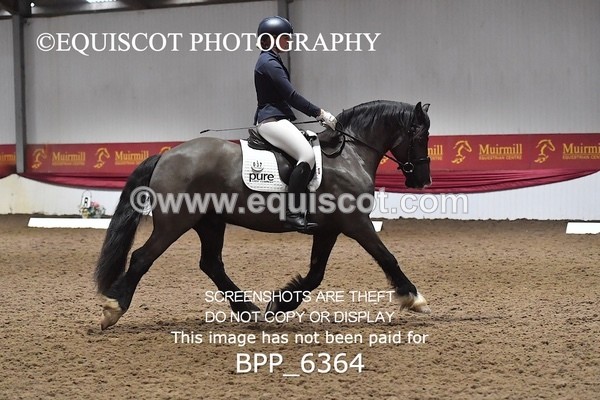 BPP_6364 - 37 Ellis Simister