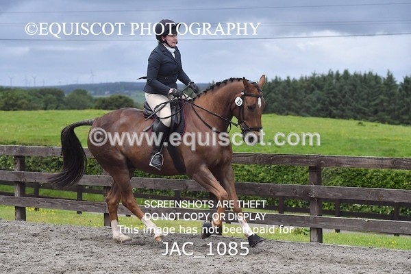 JAC_1085 - CLASS 7 BHS Scotland Riding Club Style Jumping (0.85m)