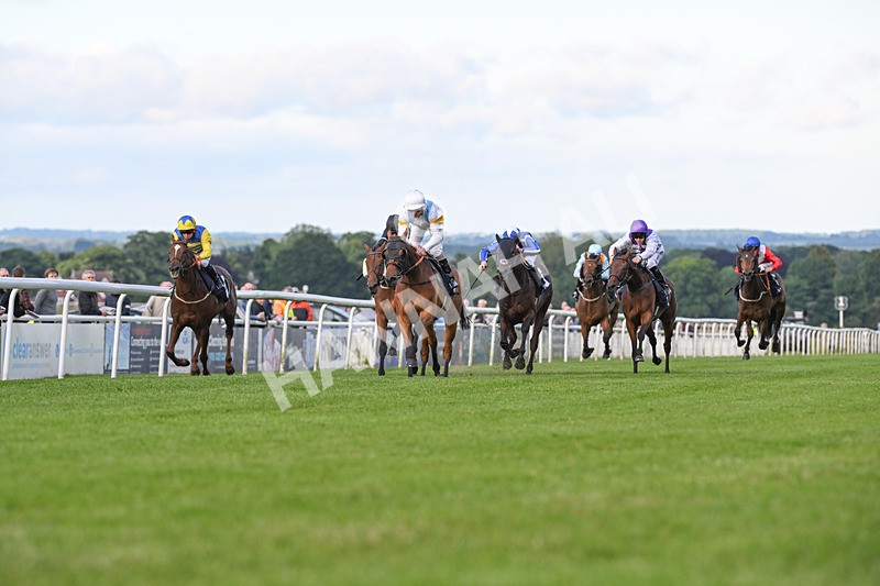 180624-Race 4-Distinction-8684 - Race 4