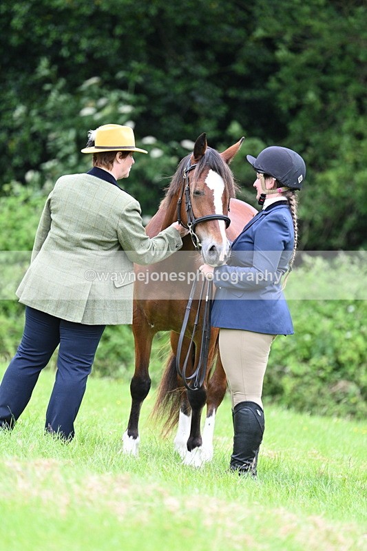 WJ7_4438 - Class 14B Prettiest Mare