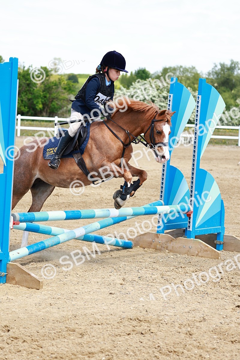 SBM_007732 - Class 3 - 60cm