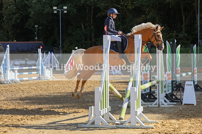 3E7A8317 - Class 4: Pony British Novice/80cm Open